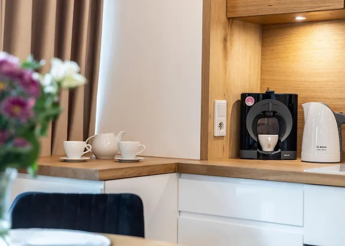 Morskie Oko アパート ザコパネ